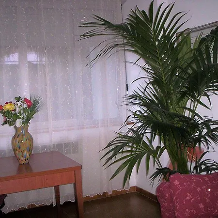 Hotel Ideale Boloňa